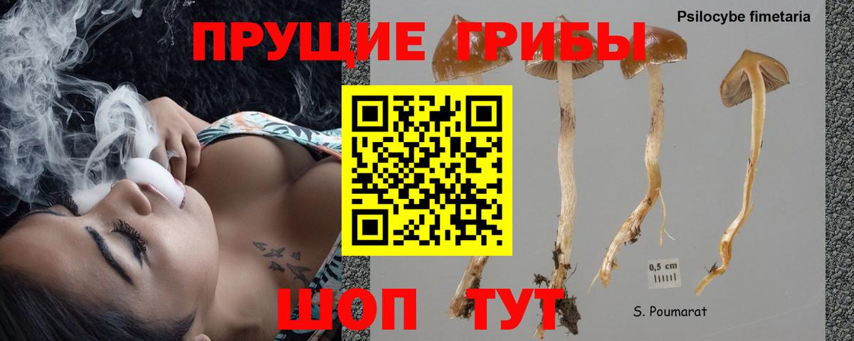 Псилоцибиновые грибы прущие грибы Павлово