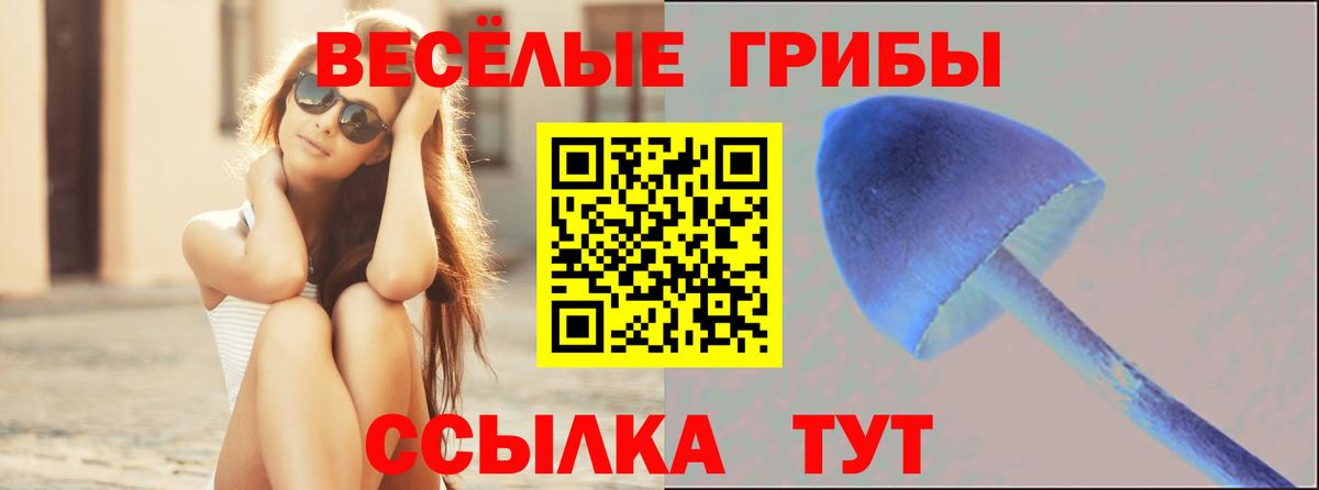 Псилоцибиновые грибы прущие грибы  Вход с VPN  Галлюциногенные грибы прущие грибы  дарнет шоп  Павлово 